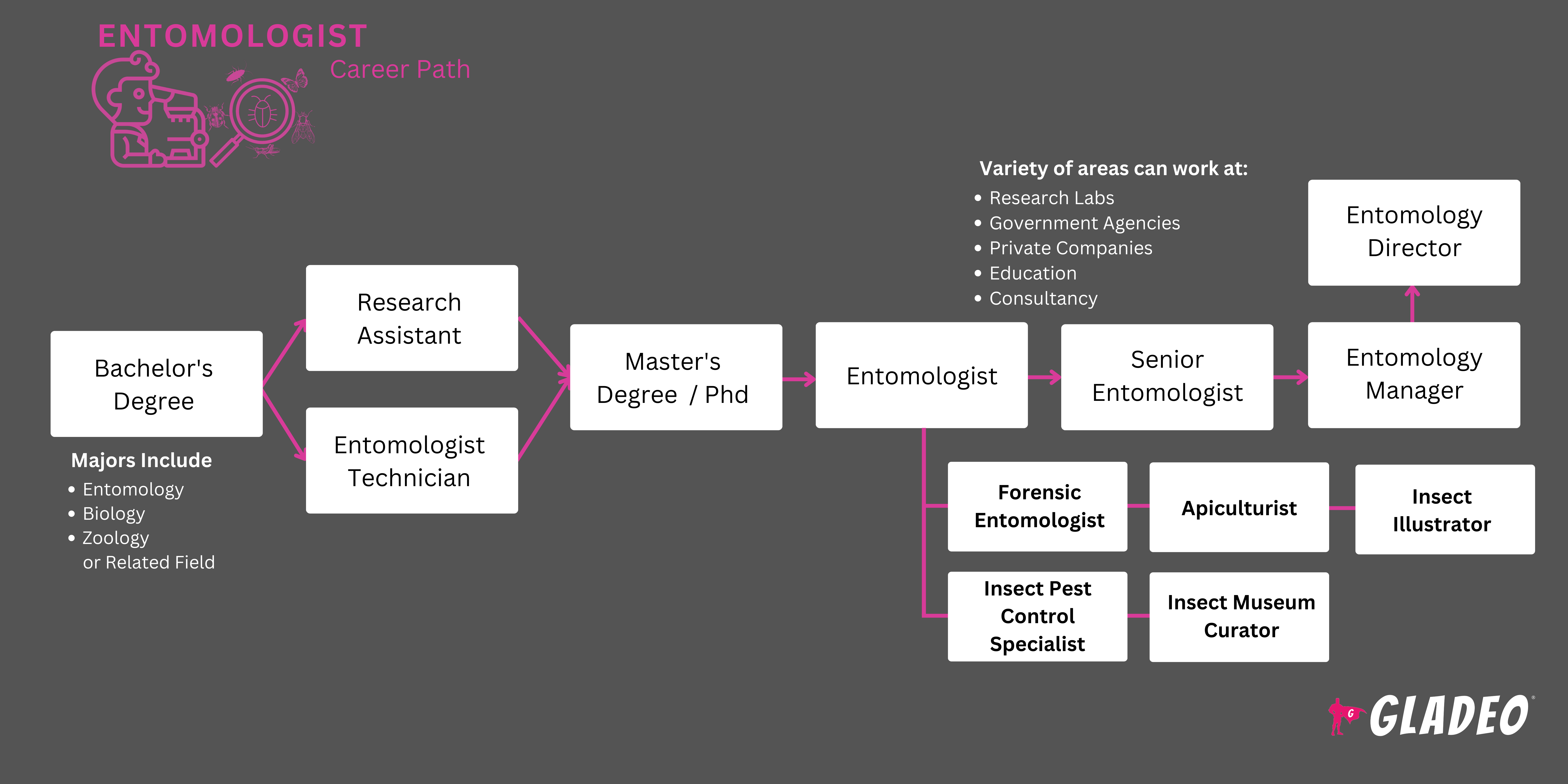 Roadmap ng Entomologist