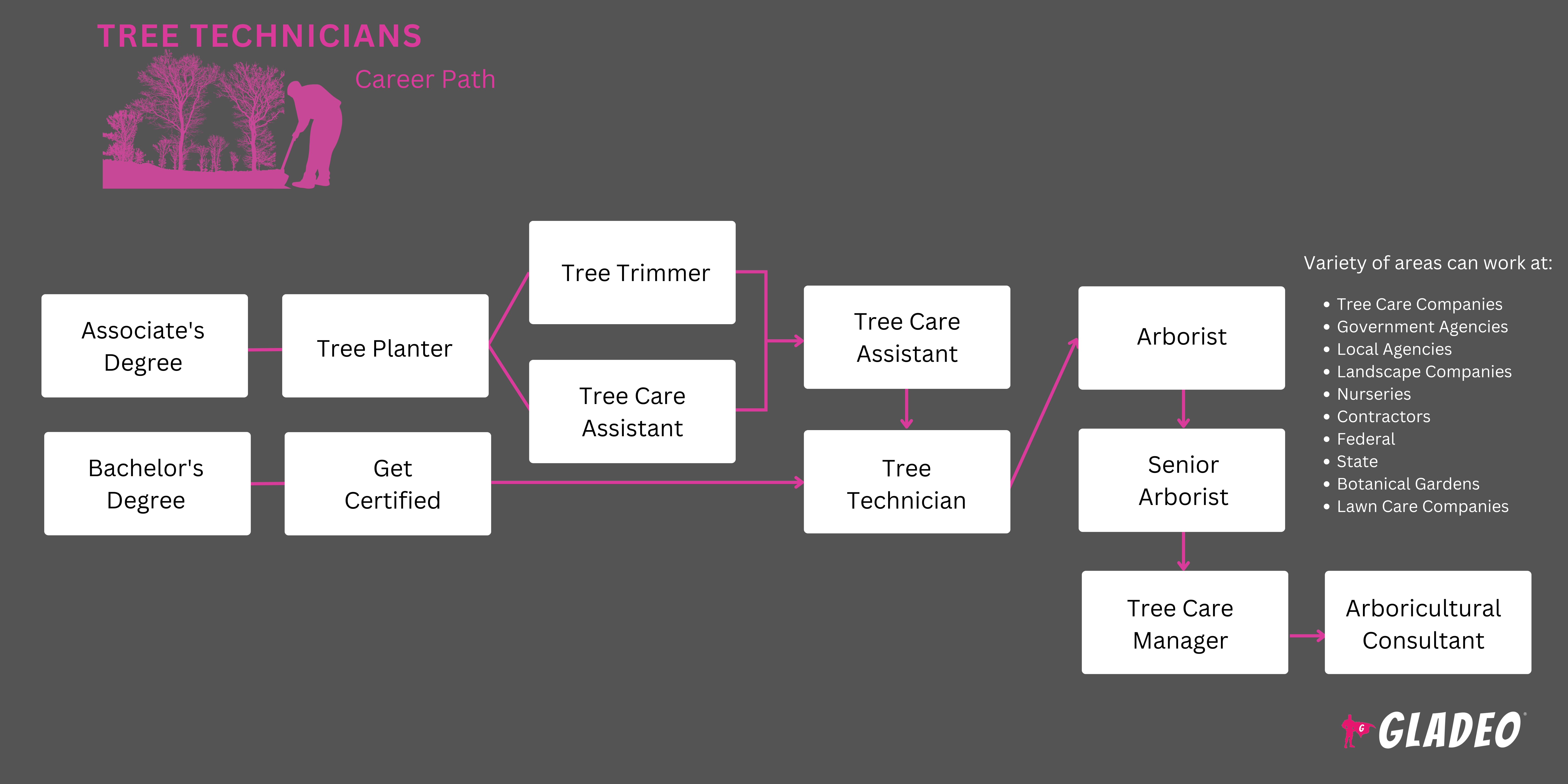 Roadmap ng Tree Technician